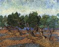 Olive Grove 2 Vincent van Gogh scenery